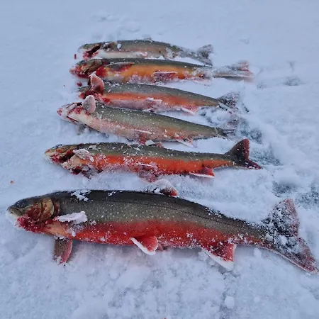 Sevettijaervellae * Sevettijärvi