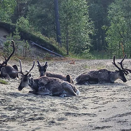 Huoneisto Sevettijaervellae