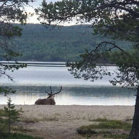 Huoneisto Sevettijaervellae